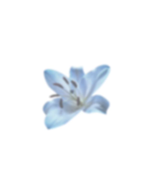 Lily azul <3