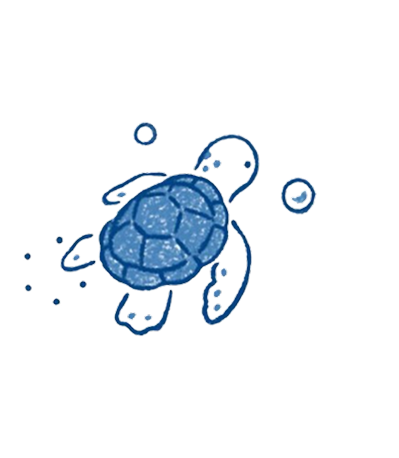 Tortuguita <3